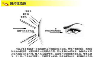 時尚與運(yùn)動的完美結(jié)合 特別推薦GD100太陽眼鏡套裝